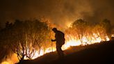 Fact check: California uses controlled burns to mitigate wildfires