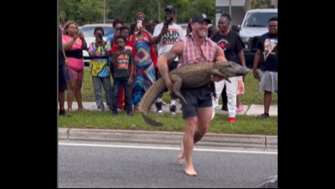 Barefoot man recorded jumping on alligator in Florida highway. ‘Hold my sweet tea’