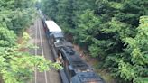 Un niño y dos adultos mueren arrollados por tren en puente en Virginia