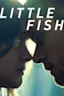 Little Fish (2021 film)