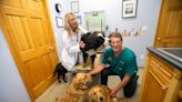 Happy Tails in Shrewsbury: How veterinary care became family affair