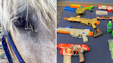 Chief warns as teens' pellet gun spree hits cops, crowd, and injures police horse