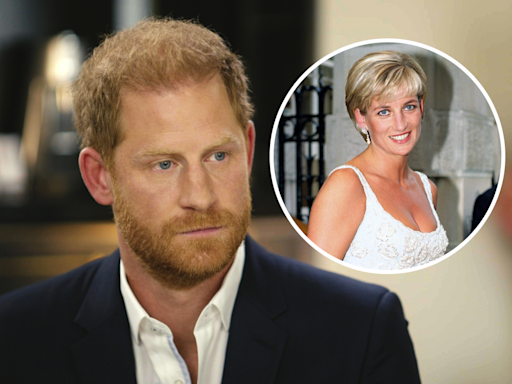 Prince Harry takes swipe at Prince William's view on Diana