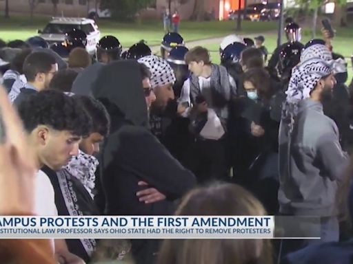 First Amendment professor breaks down rights of protesters