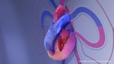 Genetic tests unexpectedly find genes linked to heart disease - now what?