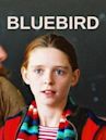 Bluebird (2004 film)