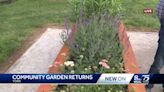 Yorktown Park Community Garden returns for its 2nd year