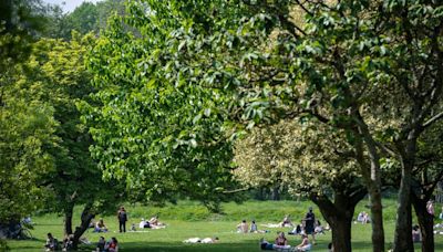 Police make major discovery in Cardiff park full of families and children