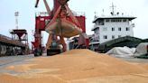 La cuota de EEUU en el mercado chino de soja disminuye a medida que Argentina aumenta su oferta