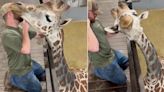 Un quiropráctico para animales capturó la atención de millones en TikTok con un paciente inusual: una jirafa