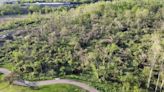 Portage teen captures drone footage of park damaged by tornado