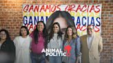 Alessandra Rojo comienza trabajos de transición en la alcaldía Cuauhtémoc pese a impugnaciones sobre elección