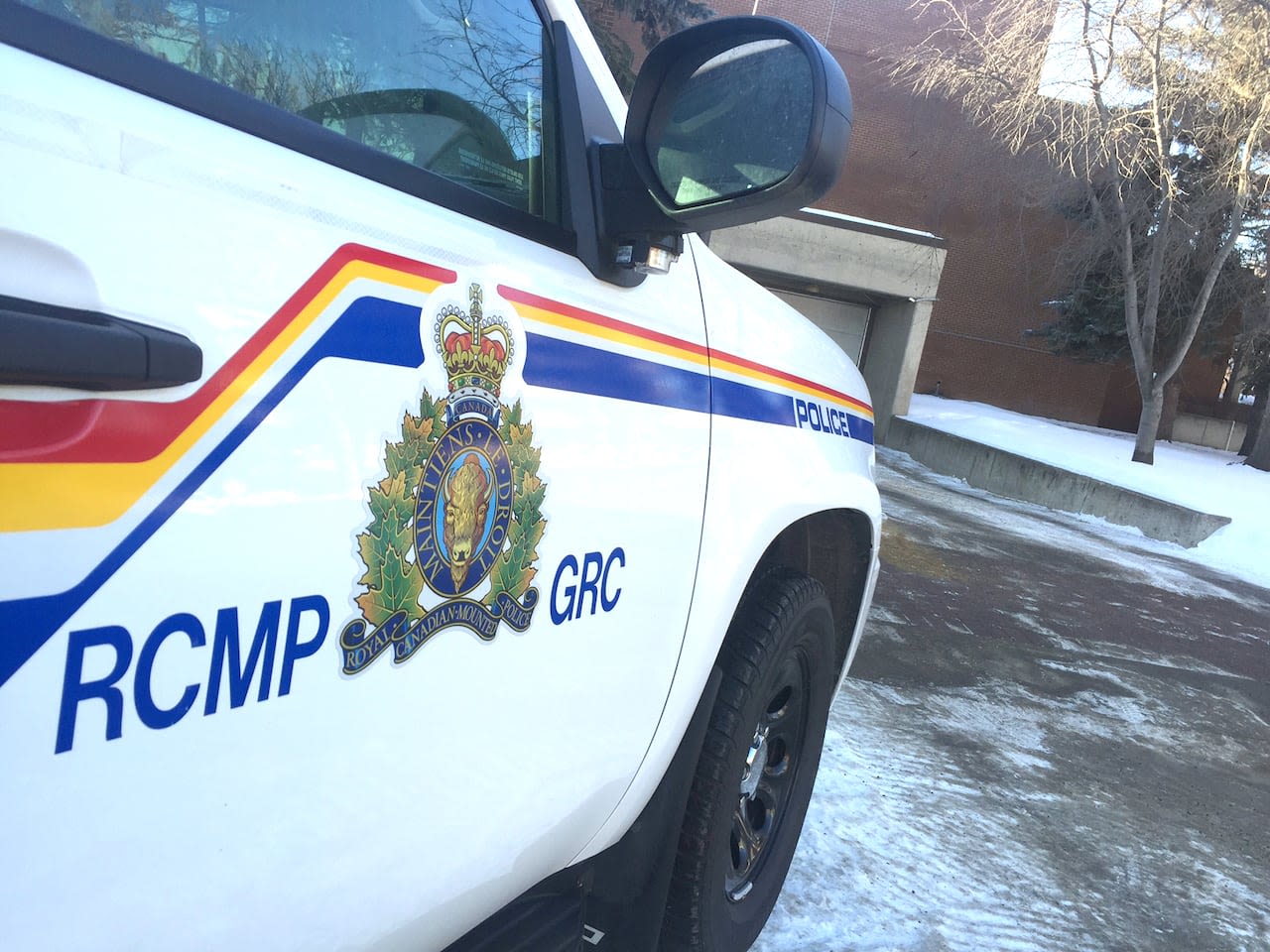 RCMP vehicles damaged, man bitten by police dog before early morning arrest