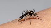 Siguen bajando los casos de dengue en Entre Ríos | apfdigital.com.ar