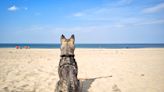 Dr. Beach Reveals His Best U.S. Beaches Of 2024 | 102 KTRA | Ryan