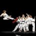 Kickin' It - A colpi di karate