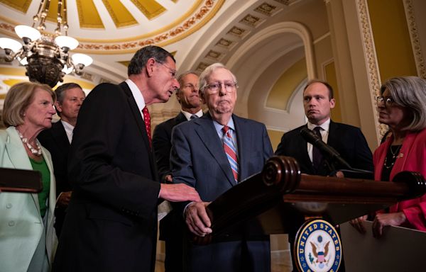 Fact check: Trump, other GOP leaders called for McConnell to step down after freezes