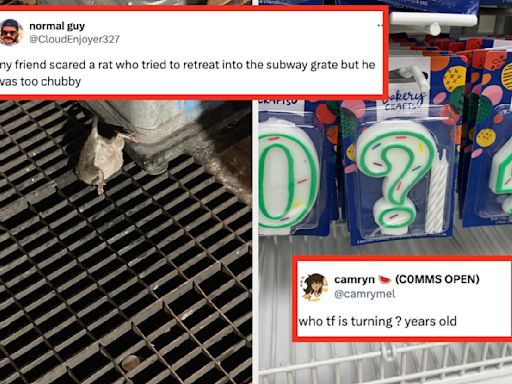 40 Of The Absolute Funniest Tweets I've Seen In The Past Two Weeks