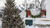 How can I make my backyard look more Christmassy? 9 ways to spread the holiday cheer outside your home