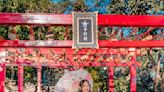 IG超夯打卡新景點！「千野村日式景觀餐廳」一秒帶你飛去日本！偽出國系列！