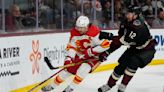 Coyotes, Flames make NHL's first brother-for-brother trade