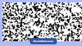 Brain teaser: Prove you are a dog lover by spotting the hidden dog in 12 seconds!