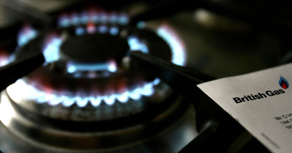 British Gas, EON, EDF and Octopus Energy customers handed £360 boost today