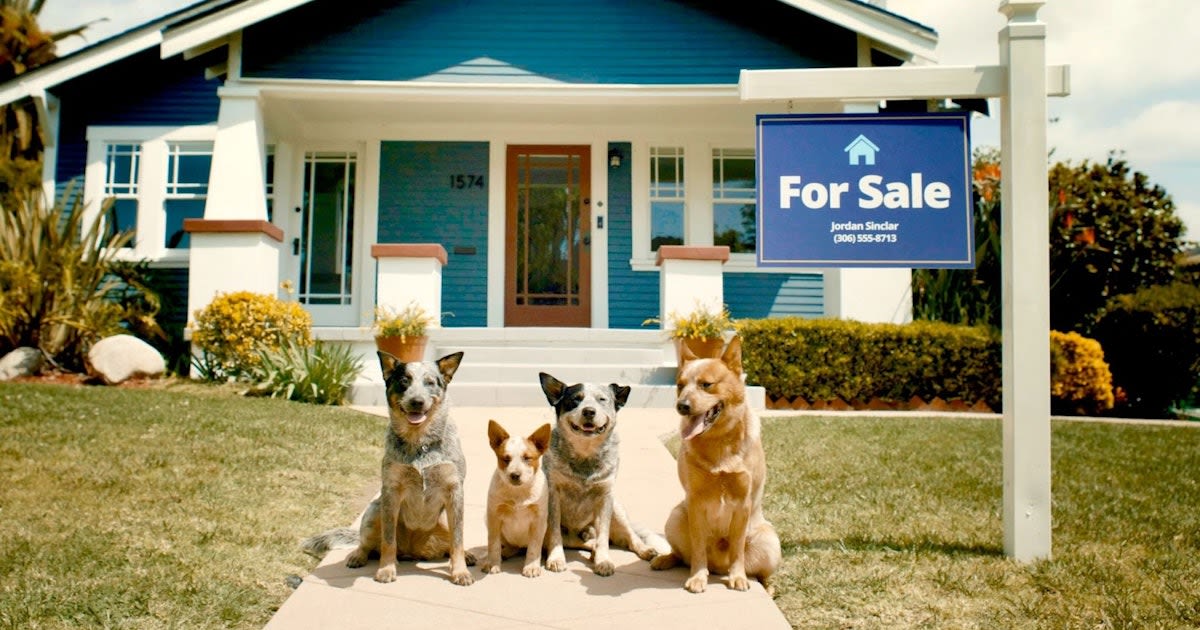 Zillow Takes Inspiration From 'Bluey' In Adorable New Commercial