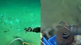 Hito arqueológico: sorprendente hallazgo con un dron a 3000 metros de profundidad en el mar Meridional