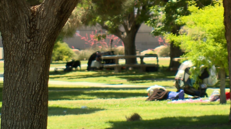 City of Las Vegas staff identify problems at parks