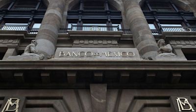 Bank of Mexico may consider larger rate cuts, says bank governor