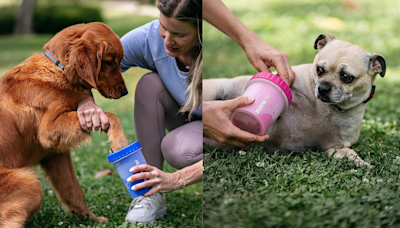 This portable paw cleaner saves floors and furniture from Fido's worst, and it's $12 — that's 50% off