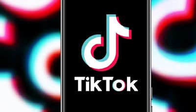 TikTok taps former Warner Bros counsel as US ban looms