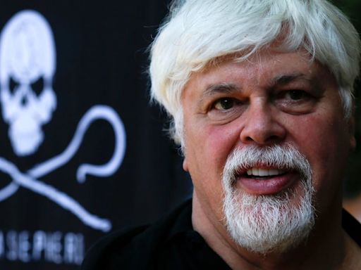 Anti-whaling campaigner Paul Watson arrested in Greenland