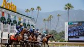 Santa Anita Park Completes Near Perfect Safety Year