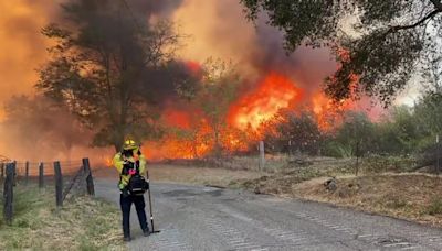 Attorney General finds no misconduct in Shasta County's handling of Zogg Fire settlement