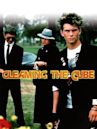 Gleaming the Cube