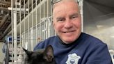 Cat gets stranded on a seawall, but help arrives just in time - The Boston Globe