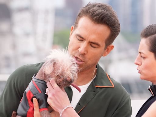 Ryan Reynolds pictured holding Dogpool at Deadpool and Wolverine photo call