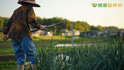 13年3度發現肝癌「身體都無不適」 醫揭「1關鍵」救命 | 蕃新聞