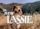 The New Lassie