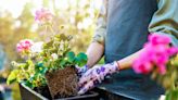 The Ultimate Garden Glossary: 28 Gardening Terms Beginners Should Know