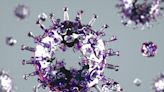 A New Lab-Made COVID-19 Virus Puts Gain-of-Function Research Under the Microscope