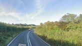 A38 crash: Driver dies after collision between silver Honda and red Nissan Navara in Cornwall