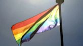 Com música e alegria, Parada LGBT+ de SP chama atenção para a política | Brasil | O Dia