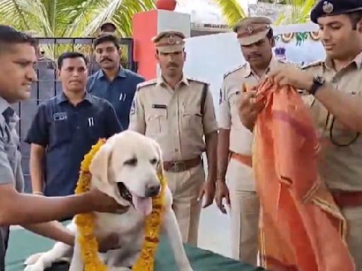 Watch: Telangana cops honour retiring police dog after 12 years of service