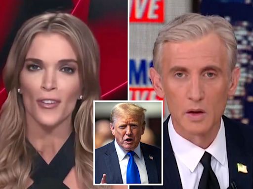 Megyn Kelly and Dan Abrams brawl over Trump guilty verdict: ‘You don’t know what you’re talking about!’