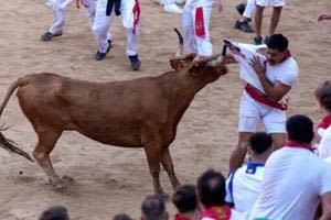 Six hurt in Spanish bull running | Fox 11 Tri Cities Fox 41 Yakima