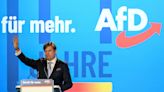 Far-right EU parliament group expels Germany's AfD over Nazi comments
