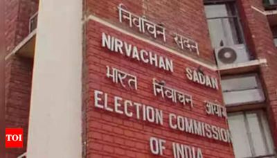 ECI holds review meeting on turnout implementation plan for Haryana Legislative Assembly Elections | Chandigarh News - Times of India